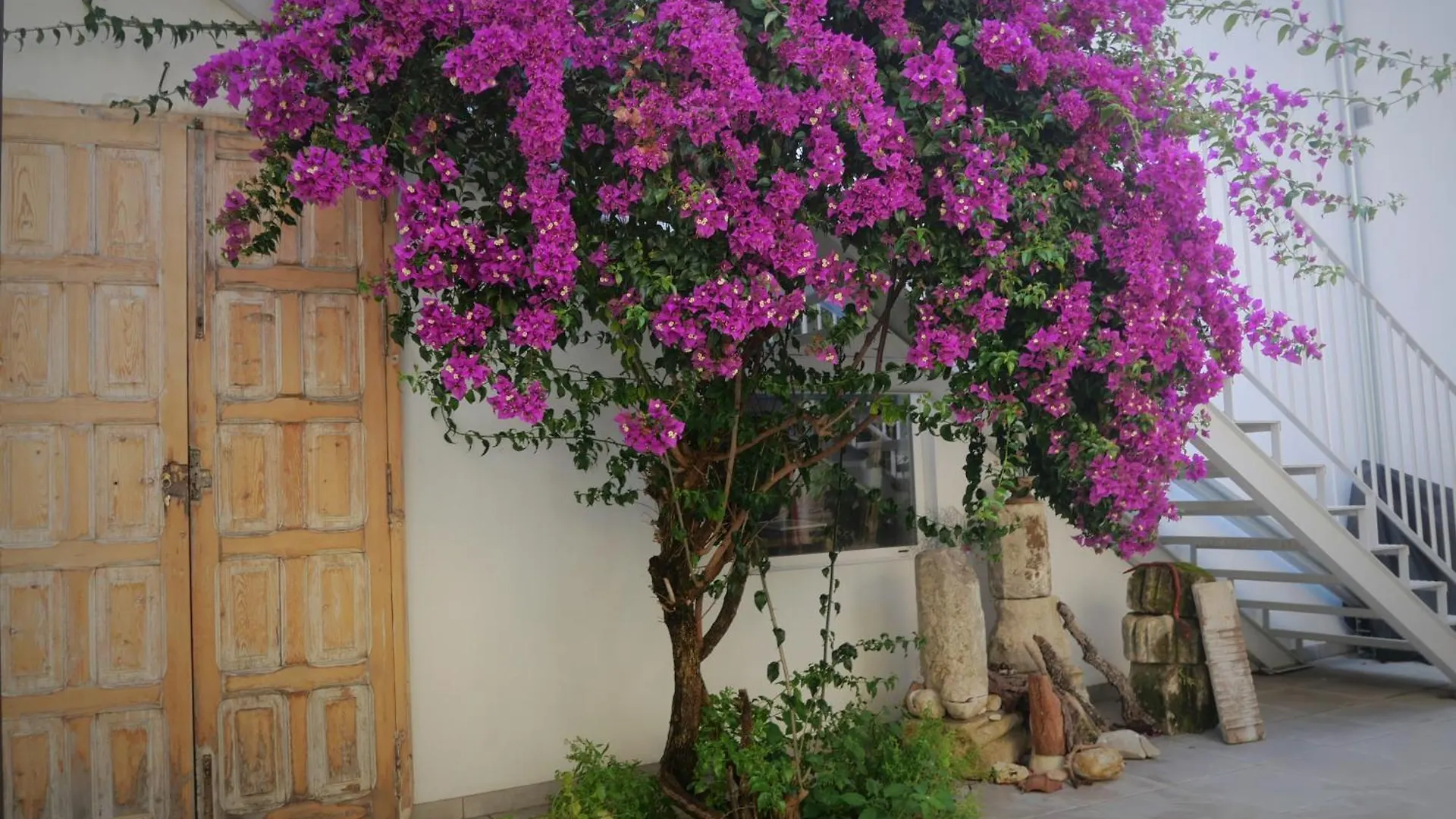 Apartamento Casa De La Fra Jerez de la Frontera